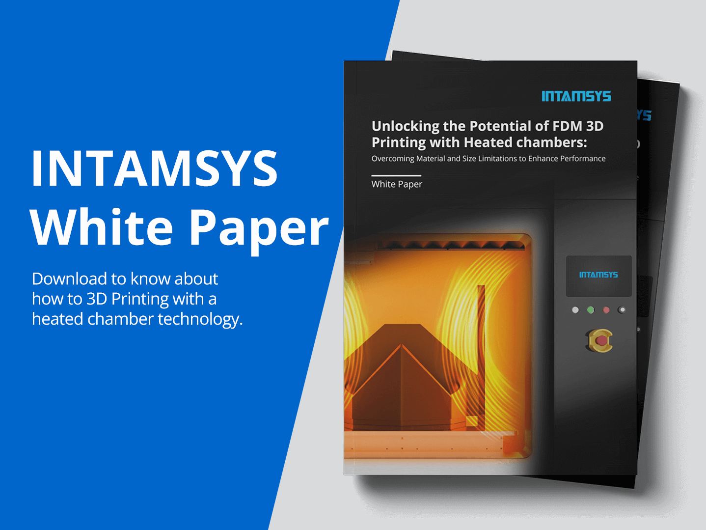 intamsys white paper